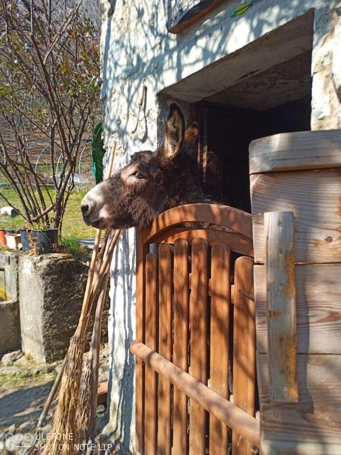 Agriturismo Cascina Gervasoni Сан-Джованни-Бьянко Экстерьер фото
